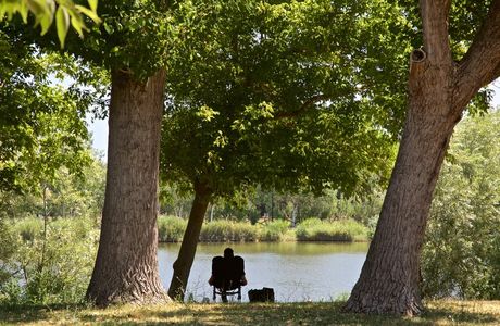 Parco Pubblico Gatteo - Il Gelso