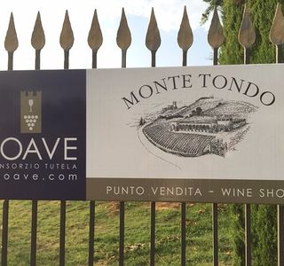 Azienda Agricola Monte Tondo