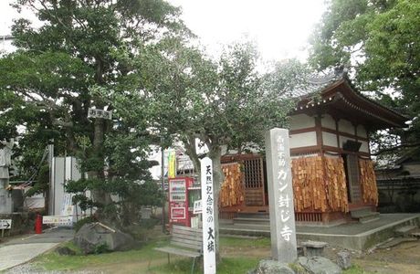 Muryoji Temple