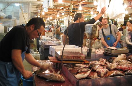 Katahara Fish Market
