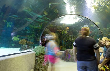 Aquarium and Marine Science & Fisheries Centre