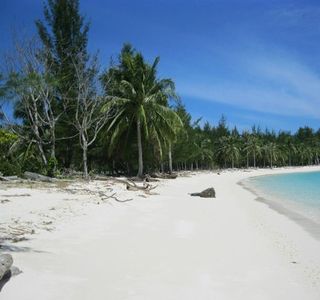 Touch Borneo
