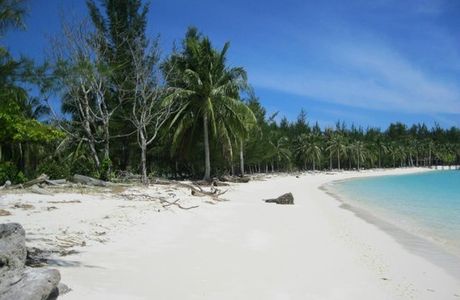 Touch Borneo