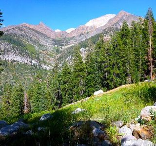 Mineral King Valley