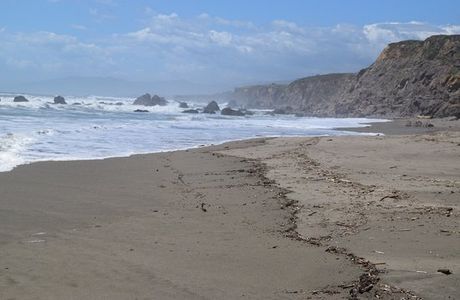 Sonoma Coast State Beach - Salmon Creek