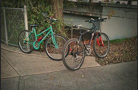 Iron Horse Trail