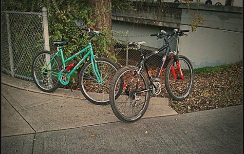Iron Horse Trail 1