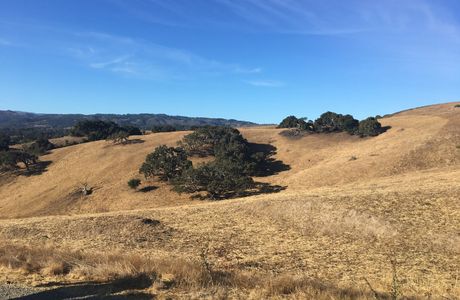 Fort Ord National Monument - Badger Hills Trailhead