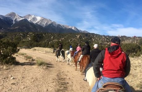 Mt Princeton Riding Stables & Equestrian Center