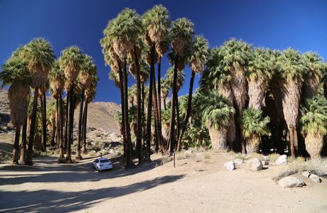 Indian Canyons