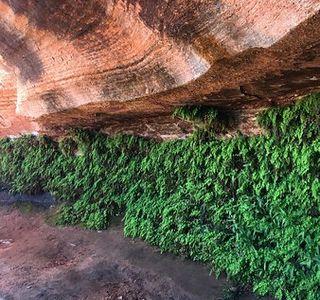 Hanging Gardens Trail