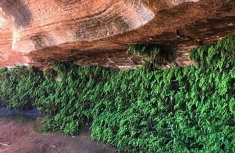 Hanging Gardens Trail