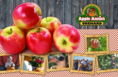 Apple Annie's Orchard