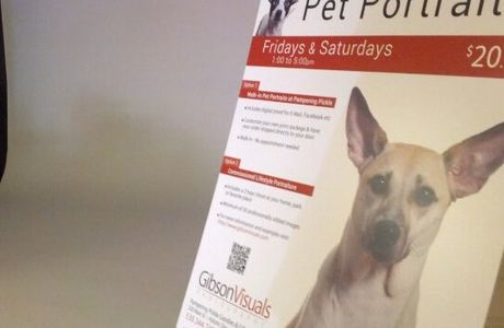 Pampering Pickle Goodies & Gifts for Dogs