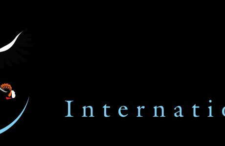 Avian Behavior International