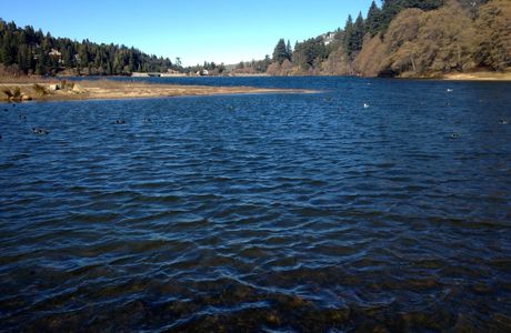Lake Gregory Regional Park