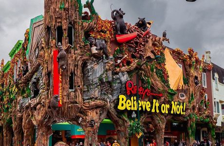 Ripley's Believe It or Not!