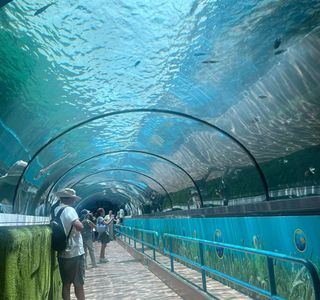 Sea Life Sydney Aquarium