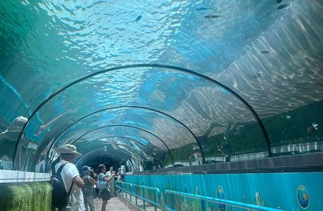 Sea Life Sydney Aquarium
