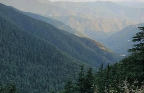 Green Valley