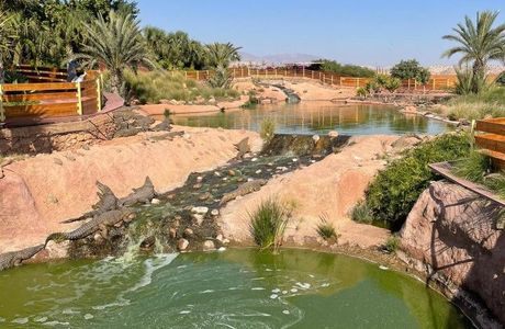Crocoparc