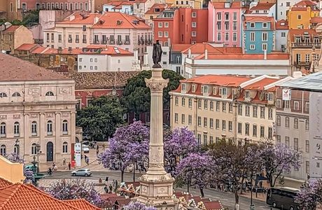 Mercado de Campo de Ourique