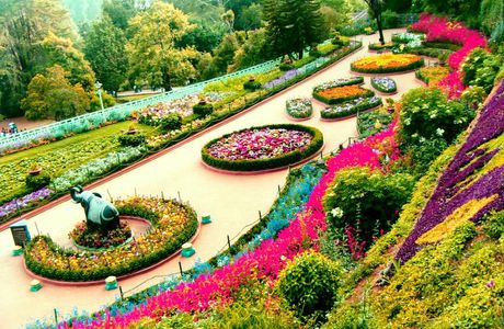 Chandigarh Rose Garden