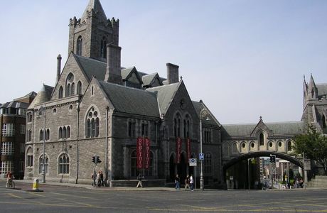 Dublinia