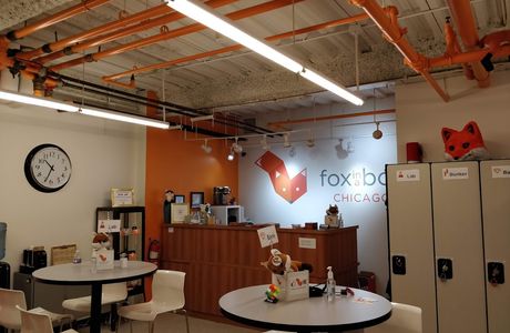 Fox in a Box Chicago