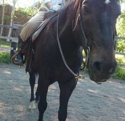 Clark Horse Garden 1