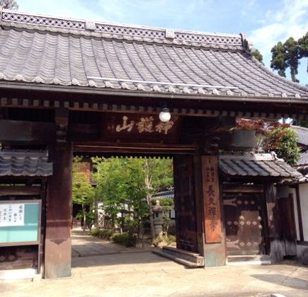 Chokyuji Temple 2
