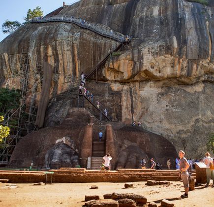 Milan M. Personal Driver Service Sri Lanka 1