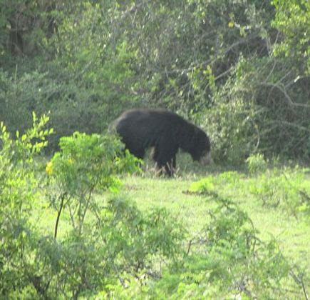 Lal Lanka Tours 1