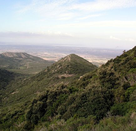 Parco Naturale del Monte Arci 1