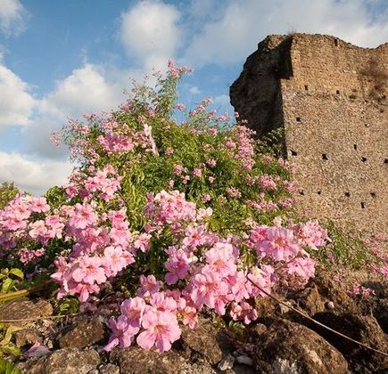 Torrecchia Vecchia 1