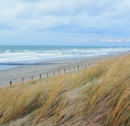 The Wadden Sea 1