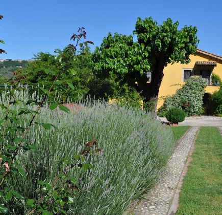 Sfizi DI Bufala E Natural Beauty 1