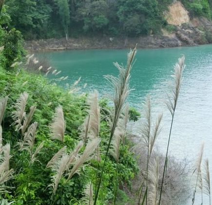 Wanlv Lake 1