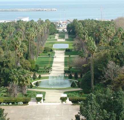 Le Jardin d'Essai du Hamma 1