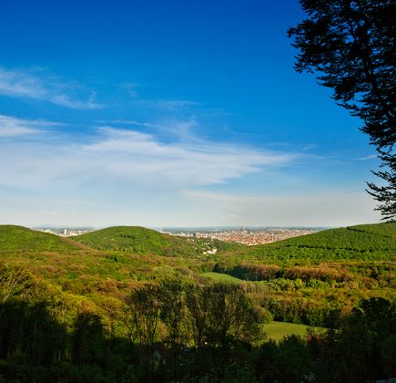 Biosphärenpark Wienerwald 1