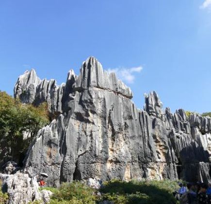 Grand Stone Forest 1
