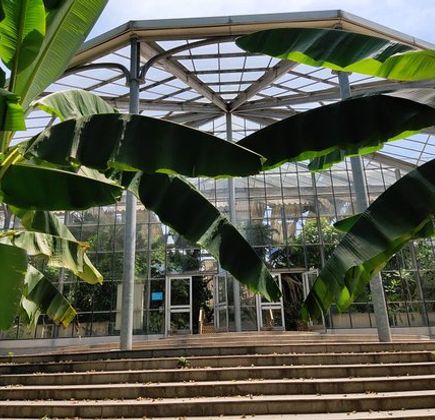 Botanical Garden of Chinese Academy of Sciences 1