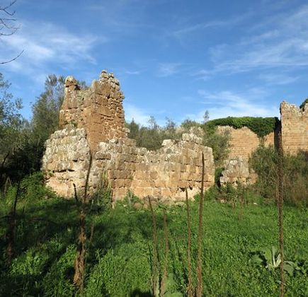 Necropoli Rupestri di San Giovenale e Terrone 1