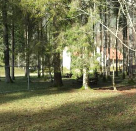 Foresta Regionale del Prescudin 1