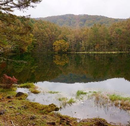 Mishakaike Pond 1