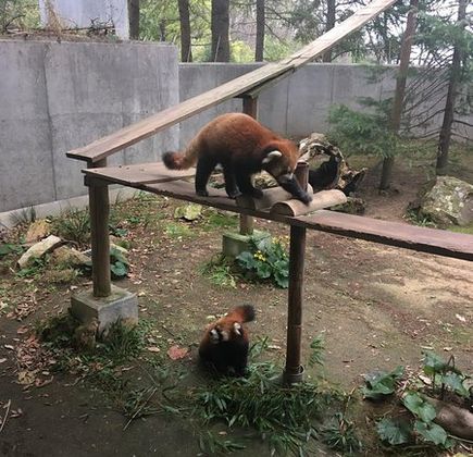 Ishikawa Zoo 1