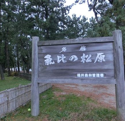 Kehi no Matsubara 1