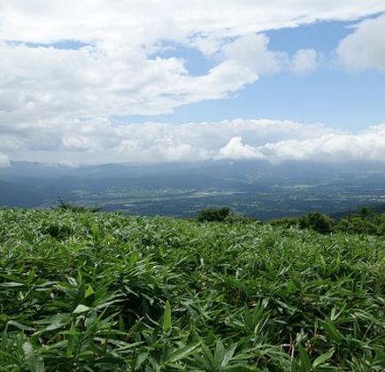 Mt. Hiruzen 1