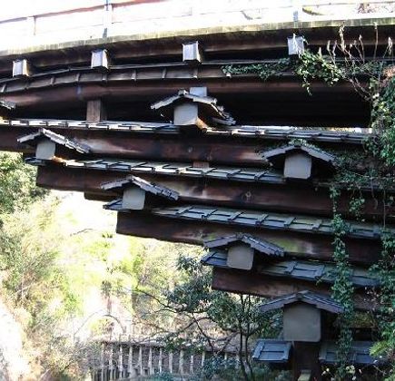 Saru Bridge 1
