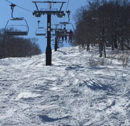 Nozawa Onsen Ski School 1